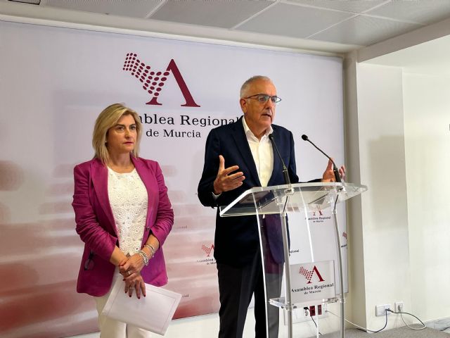 Alfonso Martínez: Una vez más, el PP y Vox instrumentalizan la Asamblea Regional en beneficio de sus intereses partidistas - 1, Foto 1