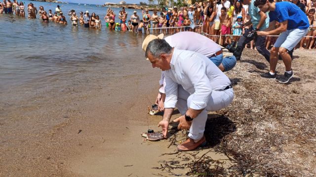 Devuelven al mar otros 20 ejemplares de tortuga boba con seguimiento por satélite para estudiar sus pautas migratorias - 2, Foto 2