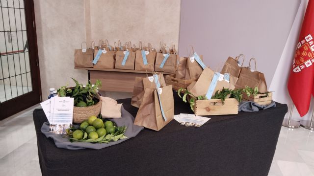 Monitores y jóvenes participantes de las XXXVI Jornadas de Formación en Hemofilia visitan el Ayuntamiento de Murcia - 4, Foto 4