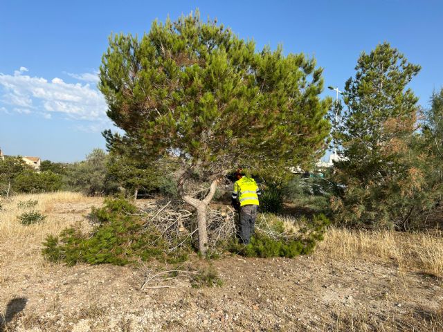 Se inician las obras de renaturalización periurbana del proyecto Anillo Verde Transformador de Molina de Segura por importe de casi dos millones de euros - 2, Foto 2