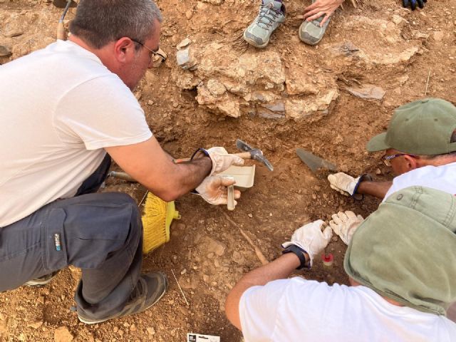 Las excavaciones en Las Fortalezas del Rey Lobo sacan a la luz un trazado de un tercer recinto del Palacio Ibn Mardanís - 3, Foto 3
