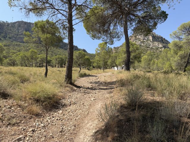 Jumilla logra por primera vez el distintivo nacional de Sendero Azul con el Sendero Botánico de Santa Ana - 3, Foto 3