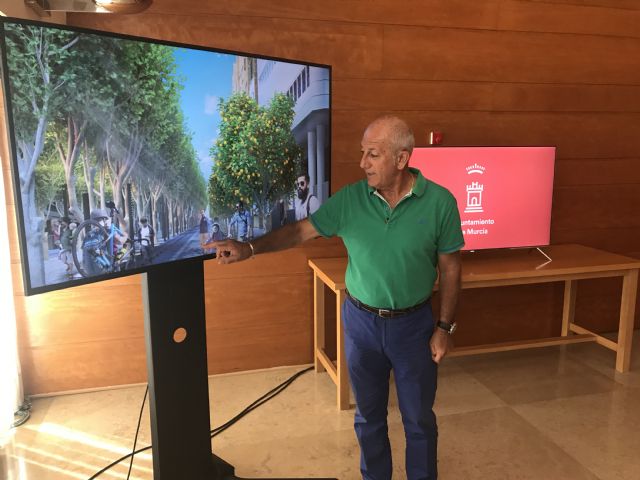 Las obras de peatonalización de la avenida Alfonso X el Sabio comenzarán después de Navidad - 1, Foto 1