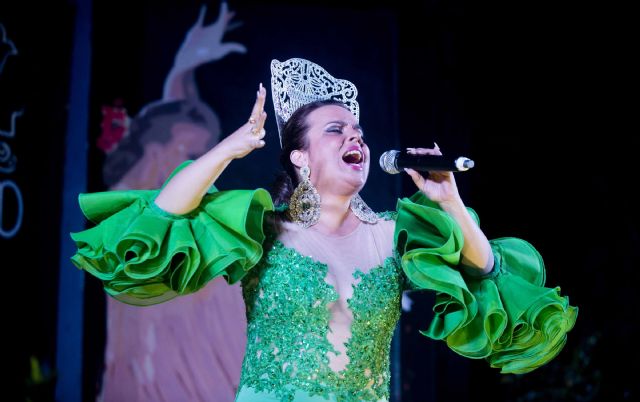 Arranca la fase clasificatoria del Festival de la Canción Española de Molino Derribao - 1, Foto 1