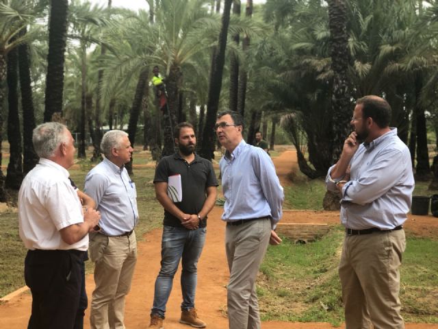 El Ayuntamiento enriquece el Palmeral de Santiago y Zaraíche con la plantación de 30 árboles frutales y la creación de un bancal típico de la Huerta de Murcia - 2, Foto 2