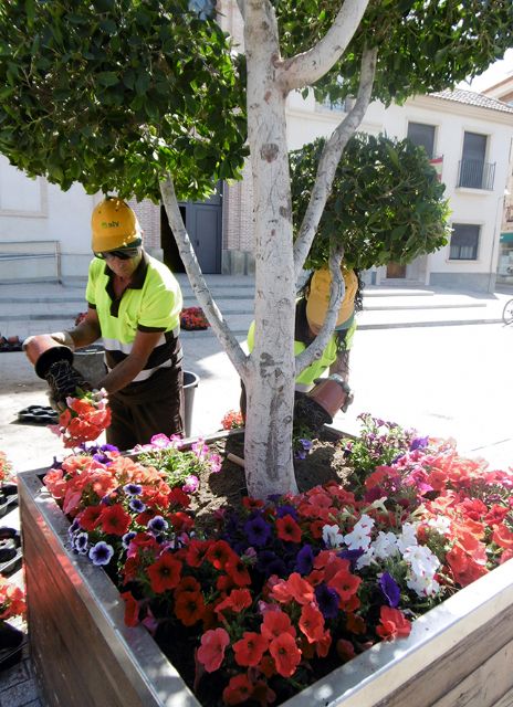 El Ayuntamiento revisa los más de un millar de maceteros en Murcia y pedanías - 1, Foto 1