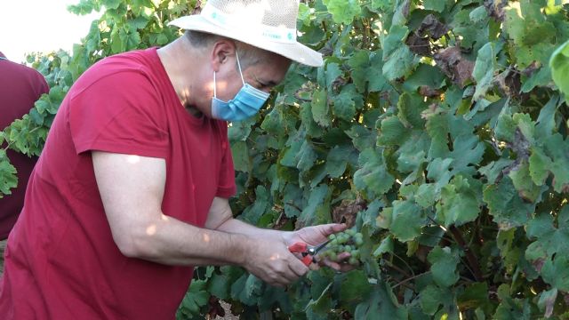 Estudiantes y profesores se reencuentran en la Fiesta de la Vendimia de la UPCT - 2, Foto 2