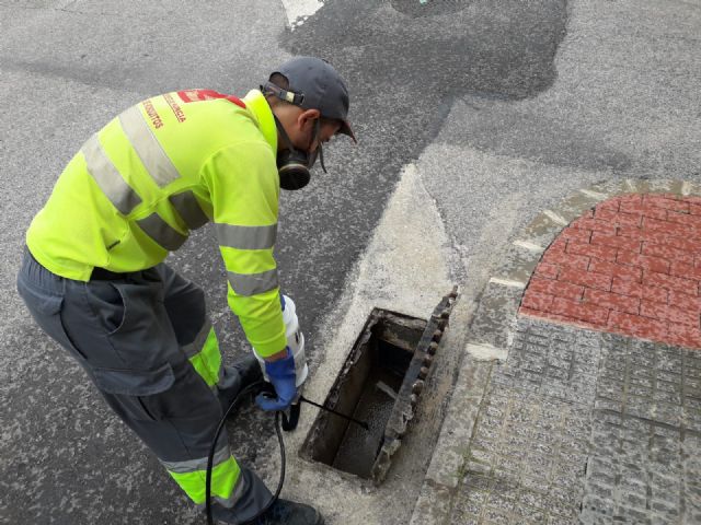 El Ayuntamiento continúa con el plan contra el mosquito tigre esta semana en ocho pedanías y el casco urbano de Murcia - 1, Foto 1