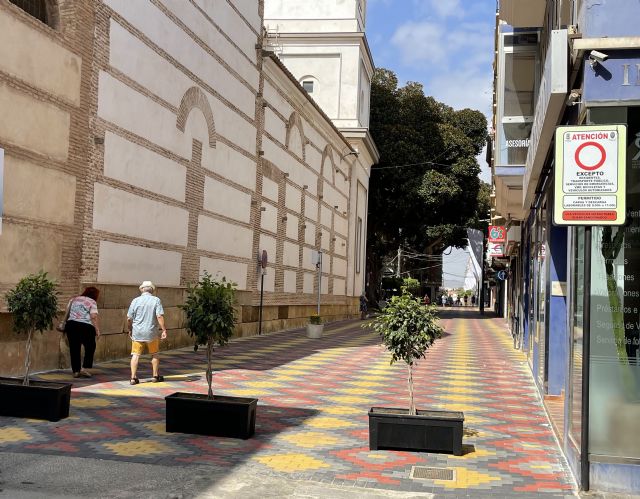 Los afectados por la nueva Ordenanza reguladora del Área de Prioridad Peatonal pueden presentar sugerencias y reclamaciones en un plazo de 30 días - 1, Foto 1