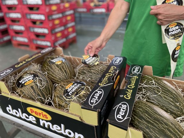 Peris comercializa un 40% más de melón piel de sapo de origen Murcia con respecto a 2020 - 1, Foto 1