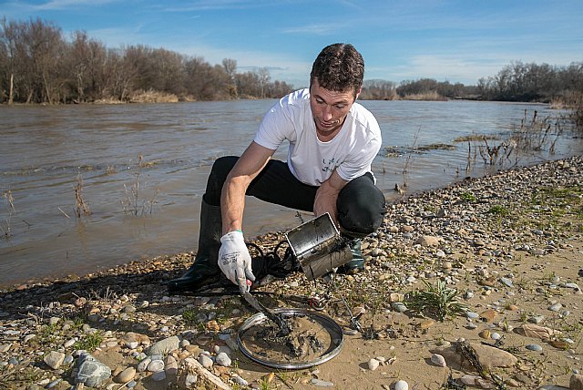 Poca preocupación y comodidad: los motivos que llevan a los españoles a tirar basura en la naturaleza - 1, Foto 1