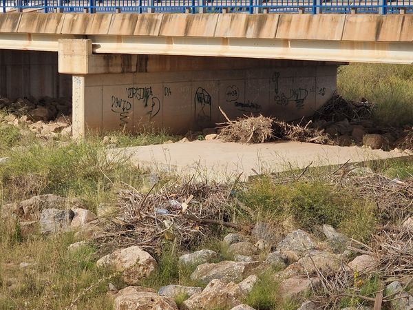 Los cauces de las ramblas de miranda y el albujón siguen sin limpiar a dos semanas de septiembre - 1, Foto 1