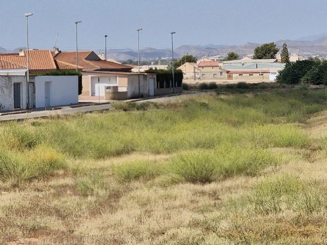 Los cauces de las ramblas de miranda y el albujón siguen sin limpiar a dos semanas de septiembre - 3, Foto 3