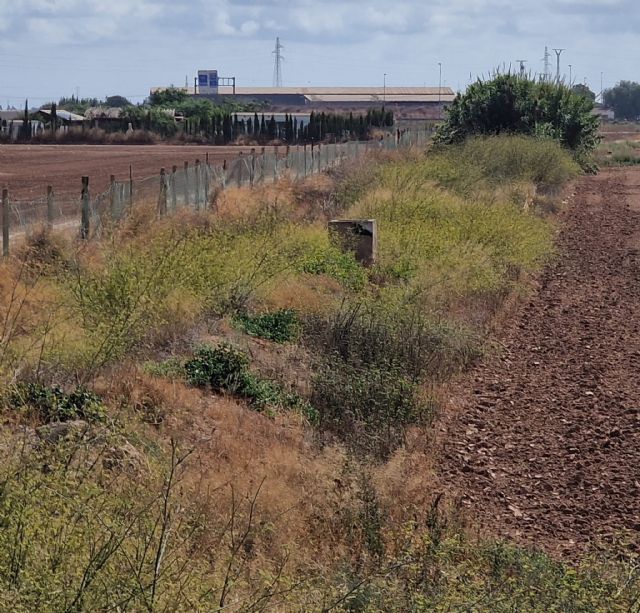 Los cauces de las ramblas de miranda y el albujón siguen sin limpiar a dos semanas de septiembre - 4, Foto 4