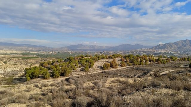 El Gobierno regional impulsa la protección de hábitats singulares en Abanilla con la restauración ambiental en Contiendas y Lomas del Algezar - 1, Foto 1
