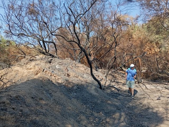 AMACOPE exige mano dura para acabar con los reiterados incendios en Marina de Cope - 3, Foto 3