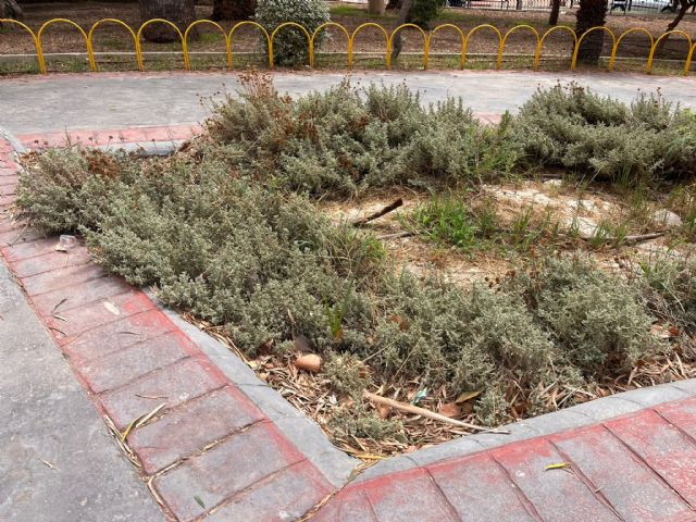 Arroyo llega tarde y a rebufo de MC al Parque Anto&ntilde;ares - 4, Foto 4