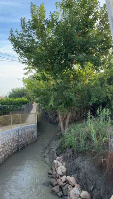 La Ruta de la Aljufía culmina su transformación para acercar la Huerta de Murcia a los ciudadanos con nuevos espacios accesibles y de convivencia - 4, Foto 4