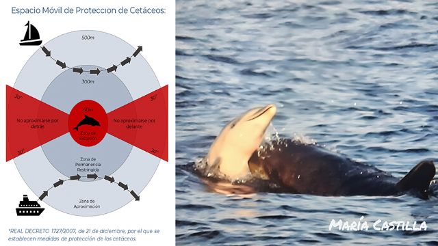 Duelo en la ciudad de los delfines
