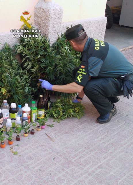 La Guardia Civil desmantela un cultivo casero de marihuana en Águilas - 1, Foto 1