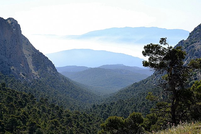Ganar Totana presentará una moción al pleno para solicitar que el Parque Regional de Sierra Espuña pase a ser catalogado como Parque Nacional