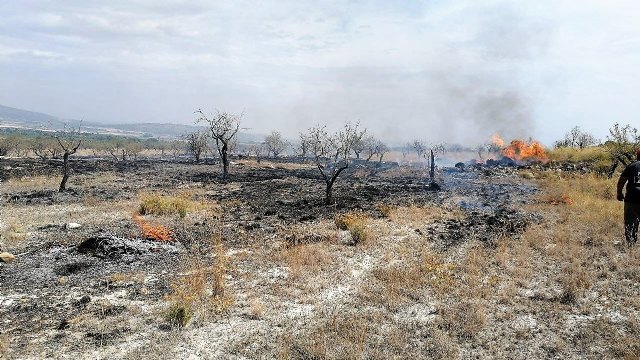 Incendio agrícola en el paraje de Las Pedroñetas en Moratalla - 1, Foto 1