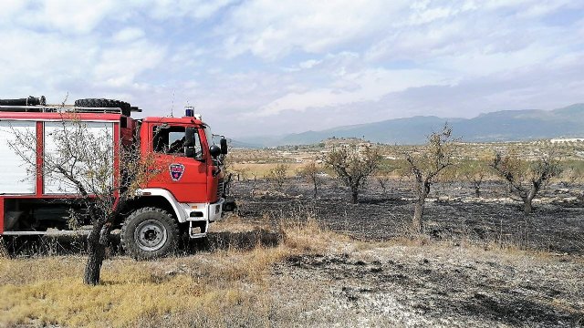 Incendio agrícola en el paraje de Las Pedroñetas en Moratalla - 2, Foto 2