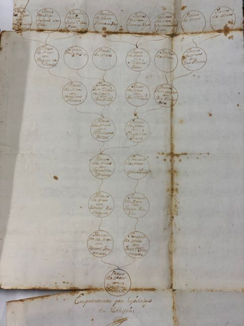 Acto de donación de dos libros manuscritos que conforman el expediente de hidalguía de Mateo de Egea Hernández - 4, Foto 4