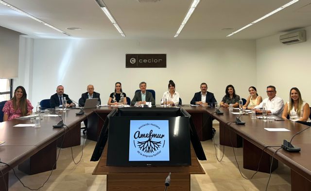 AMEFMUR se suma a las reivindicaciones del tejido empresarial de Lorca en apoyo al Corredor Mediterráneo - 1, Foto 1