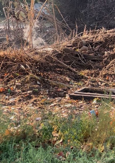 El PSOE urge al Gobierno local a limpiar los solares de Puente Tocinos y a desbloquear la comisaría y la sala de estudio - 3, Foto 3