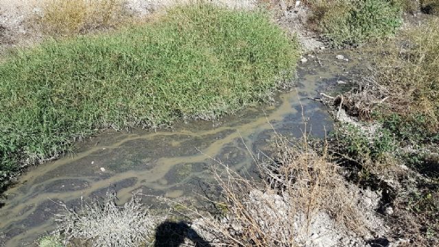 El PSOE denuncia el vertido de aguas fecales a la rambla del Madroño, en Las Terreras - 1, Foto 1