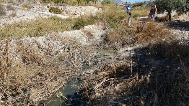 El PSOE denuncia el vertido de aguas fecales a la rambla del Madroño, en Las Terreras - 2, Foto 2