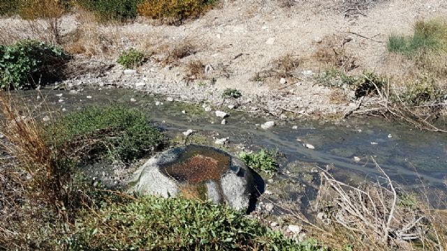 El PSOE denuncia el vertido de aguas fecales a la rambla del Madroño, en Las Terreras - 3, Foto 3