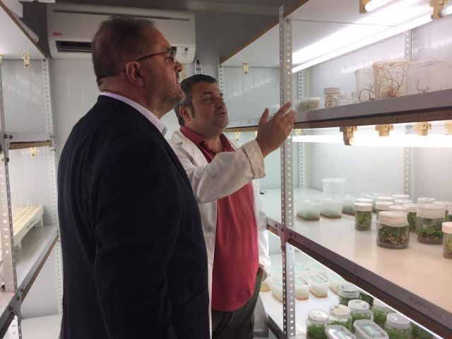 The Mayor visits the Center for Soil Science and Applied Biology Segura (CEBAS), the Higher Centre for Scientific Research (CSIC), Foto 1