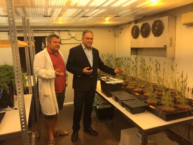 The Mayor visits the Center for Soil Science and Applied Biology Segura (CEBAS), the Higher Centre for Scientific Research (CSIC), Foto 2
