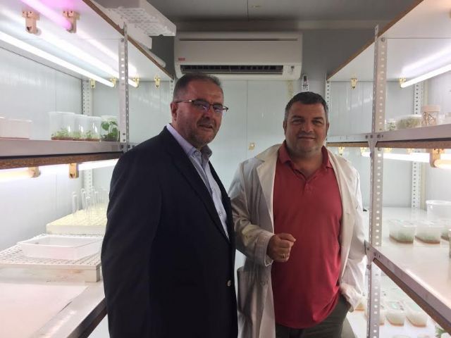 El alcalde visita el Centro de Edafología y Biología Aplicada del Segura (CEBAS), del Centro Superior de Investigaciones Científicas (CSIC) - 5, Foto 5