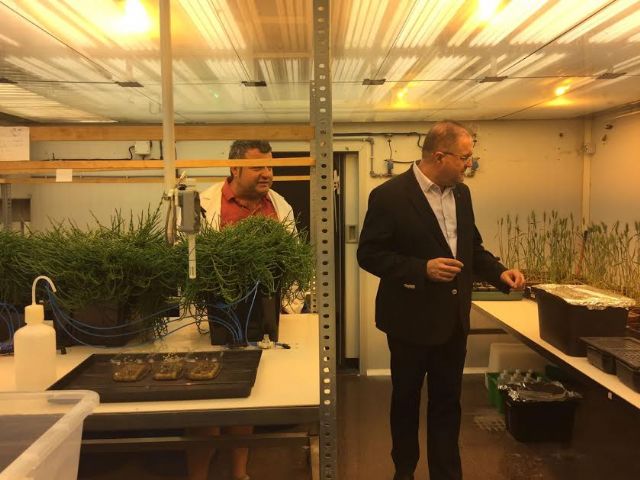 The Mayor visits the Center for Soil Science and Applied Biology Segura (CEBAS), the Higher Centre for Scientific Research (CSIC), Foto 6