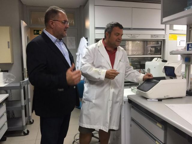 El alcalde visita el Centro de Edafología y Biología Aplicada del Segura (CEBAS), del Centro Superior de Investigaciones Científicas (CSIC), Foto 7