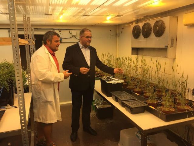 El alcalde visita el Centro de Edafología y Biología Aplicada del Segura (CEBAS), del Centro Superior de Investigaciones Científicas (CSIC), Foto 8