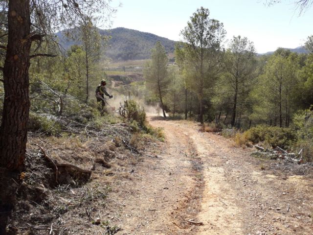 Limpian el monte Castellar de maleza para prevenir posibles conatos de incendio - 2, Foto 2