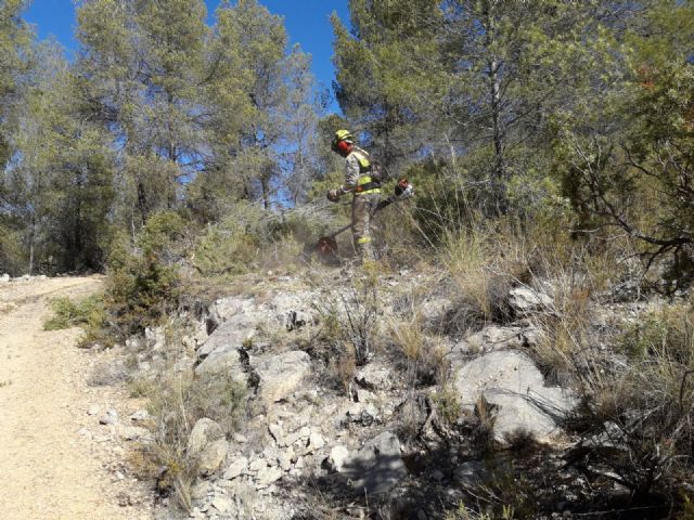 Limpian el monte Castellar de maleza para prevenir posibles conatos de incendio - 3, Foto 3