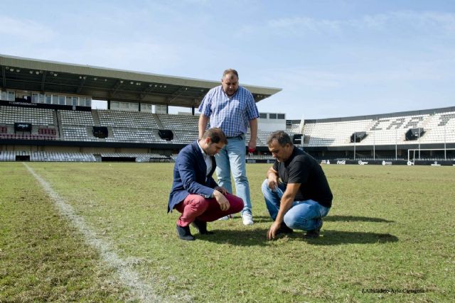 Puesta a punto del Estadio Cartagonova con la resiembra del césped para los encuentros deportivos - 4, Foto 4