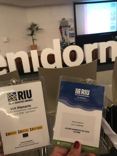 La concejala de Servicios Públicos, María Dolores Ruiz asistió al VIII Pleno de la Red de Iniciativas Urbanas, celebrado en Benidorm - 1, Foto 1