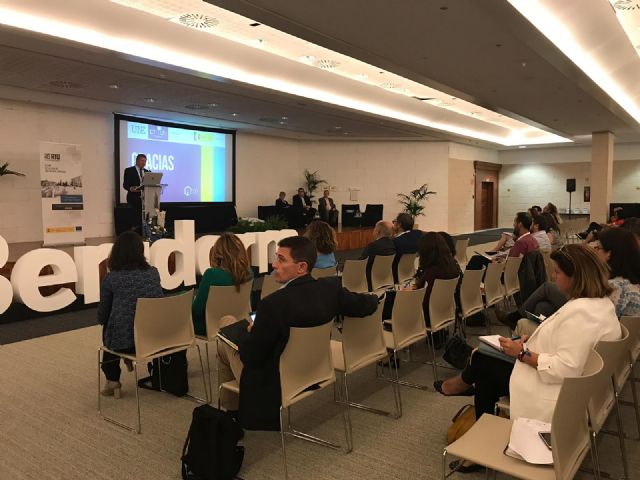 La concejala de Servicios Públicos, María Dolores Ruiz asistió al VIII Pleno de la Red de Iniciativas Urbanas, celebrado en Benidorm - 2, Foto 2