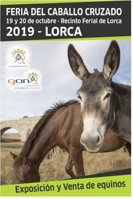 La Feria del Caballo Cruzado de Lorca se celebrará los días 19 y 20 de octubre en el Recinto Ferial del Huerto de La Rueda - 1, Foto 1