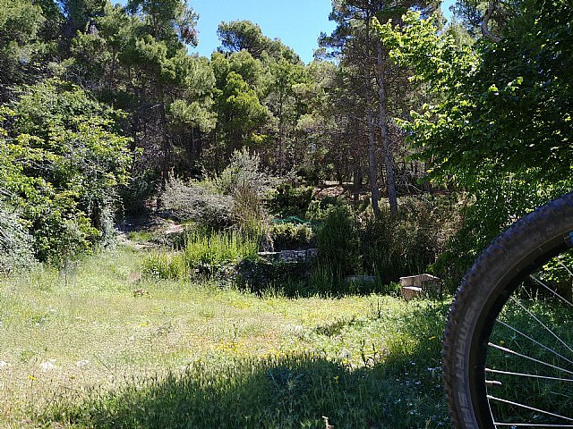 Rutas en bici para conocer Murcia - 1, Foto 1