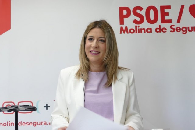 El PSO denuncia el despilfarro de PP y VOX al externalizar servicios técnicos clave del ayuntamiento - 1, Foto 1
