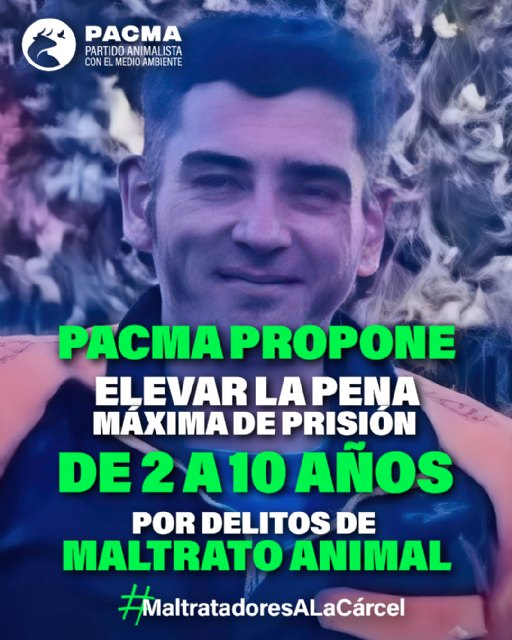 PACMA vuelve a concentrarse en Medinaceli para exigir el fin del Toro Júbilo tras la decisión judicial que podría autorizarlo - 1, Foto 1