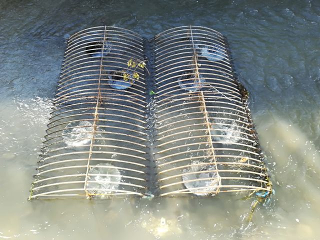 Cambiemos Murcia denuncia el desvío de agua desde La Ñora para favorecer a las grandes explotaciones agrícolas del municipio - 2, Foto 2