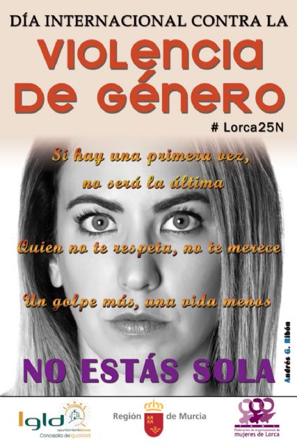 El Centro Cultural acogerá el martes la presentación del libro El Paje Eterno, de la autora Olvido Claramonte Bengolea, dentro de los actos programados para conmemorar el 25N - 1, Foto 1